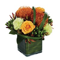 Tropical sophistication flowers for sale
